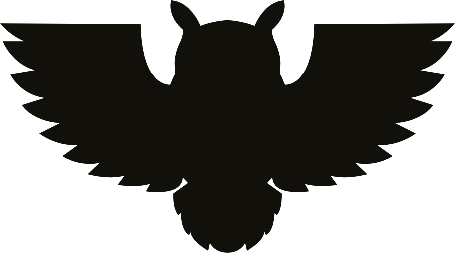 Logo Whiteowl CrossFit